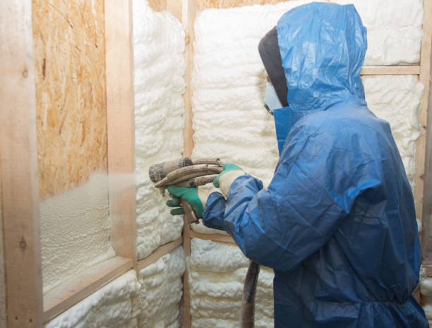 Best Radiant Barrier Insulation  in Carroll, IA